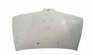 Cofano Anteriore per Renault Megane L Serie (96>99) (1996 - 1999)