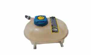 Vaschetta liquido radiatore per Fiat 500 Serie (07>14) (2007 - 2014)