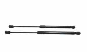 Pistoncini cofano Post. per Bmw X6 E71 1 Serie (2008 - 2014)