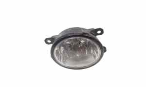 Fendinebbia anteriore DX per Fiat Punto Evo (2009 - 2012)