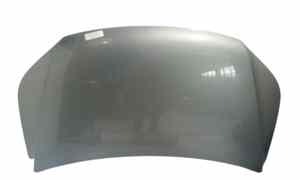 Cofano Anteriore per Volkswagen Tiguan 2 Serie (2011 - 2015)