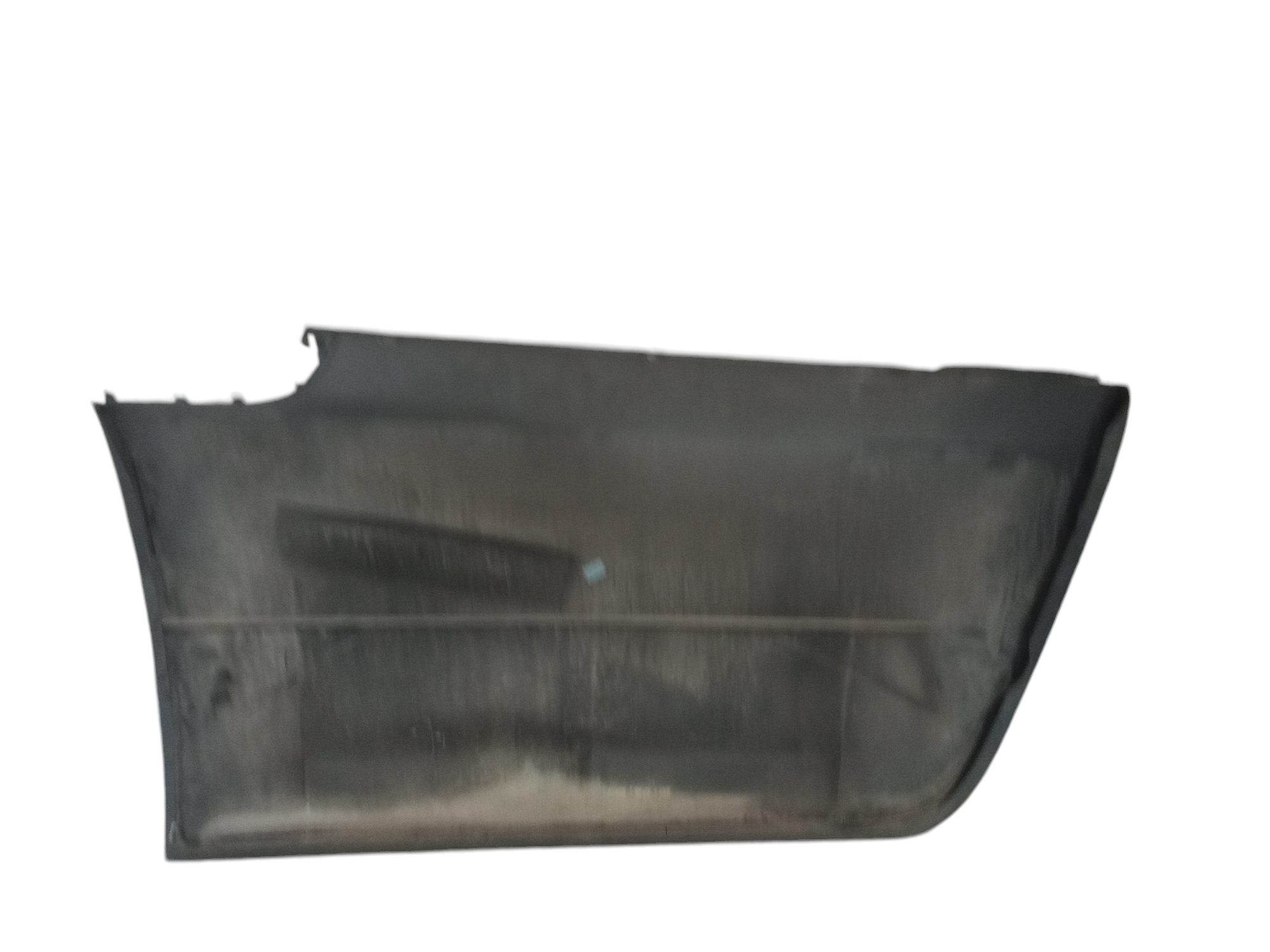 Pannello Portiera esterno SX guida per Smart Forfour 1 Serie (2004 - 2006)