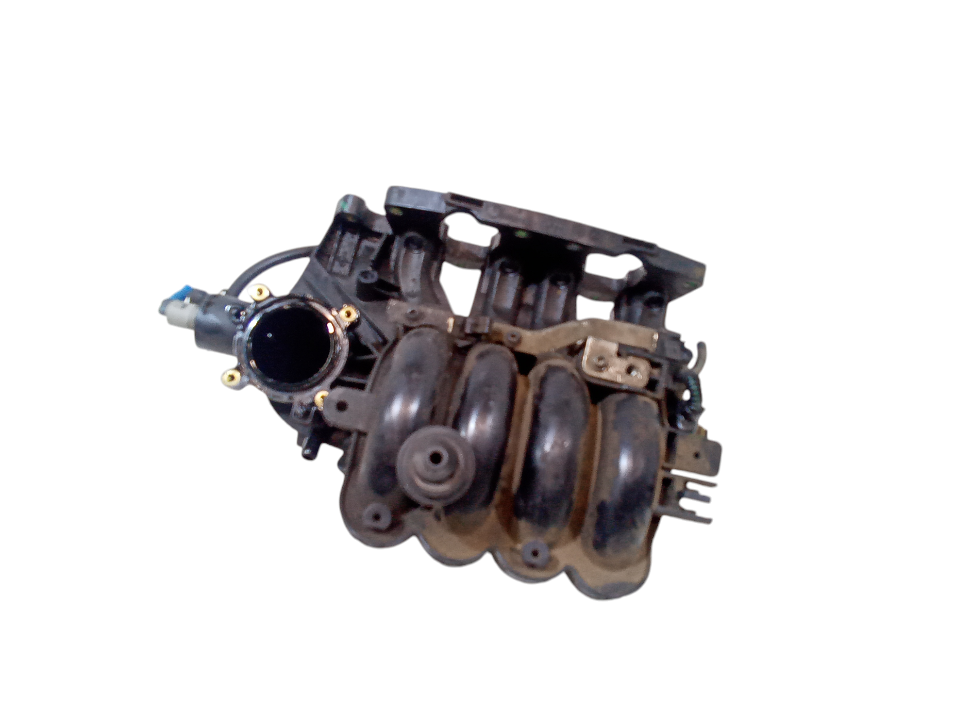 Collettore Aspirazione per Fiat Punto Evo (2009 - 2012)