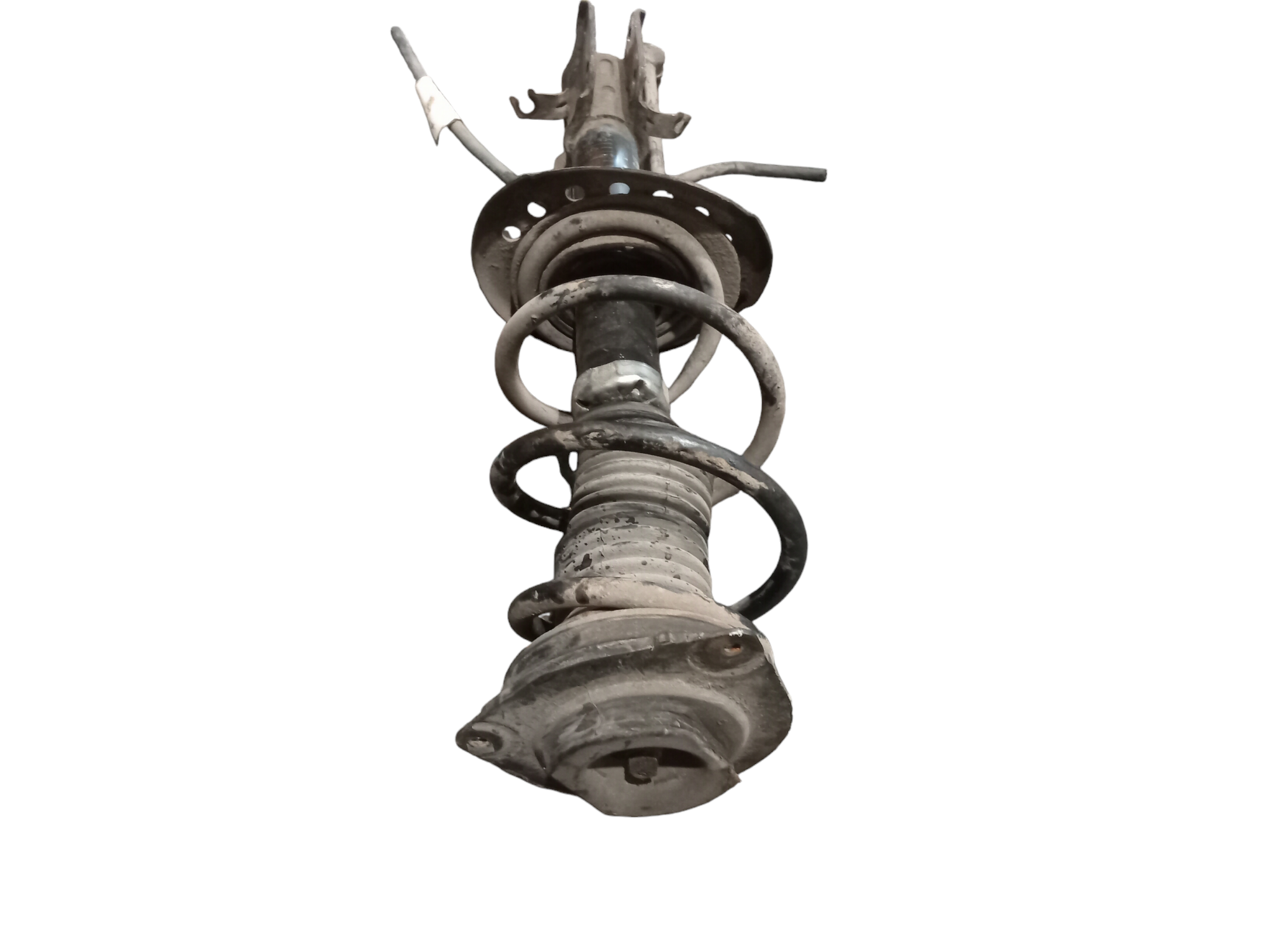 Ammortizzatore Anteriore destro per Nissan Juke 1 Serie (2010 - 2013)