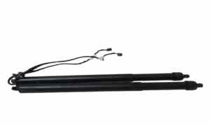 Pistoncini cofano Post. per Land Rover Range Rover Evoque Serie (18>) (2018 - In produzione)