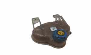 Vaschetta liquido radiatore per Fiat Dobl Serie (09>) (2009 - In produzione)