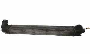 Intercooler per Dacia Duster 1 Serie (2010 - In produzione)