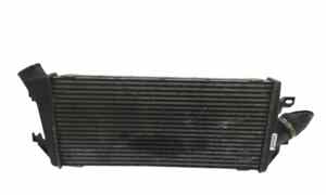 Intercooler per Jeep Compass Serie (07>11) (2007 - 2011)