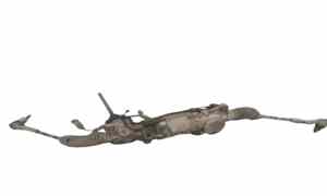 Scatola dello sterzo per Land Rover Range Rover Evoque Serie (18>) (2018 - In produzione)