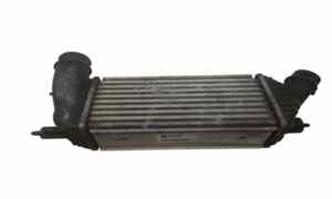 Intercooler per Peugeot Expert 3 Serie (2007 - In produzione)