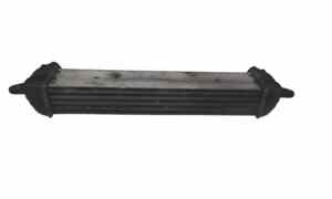 Intercooler per Fiat Dobl Serie (09>) (2009 - In produzione)