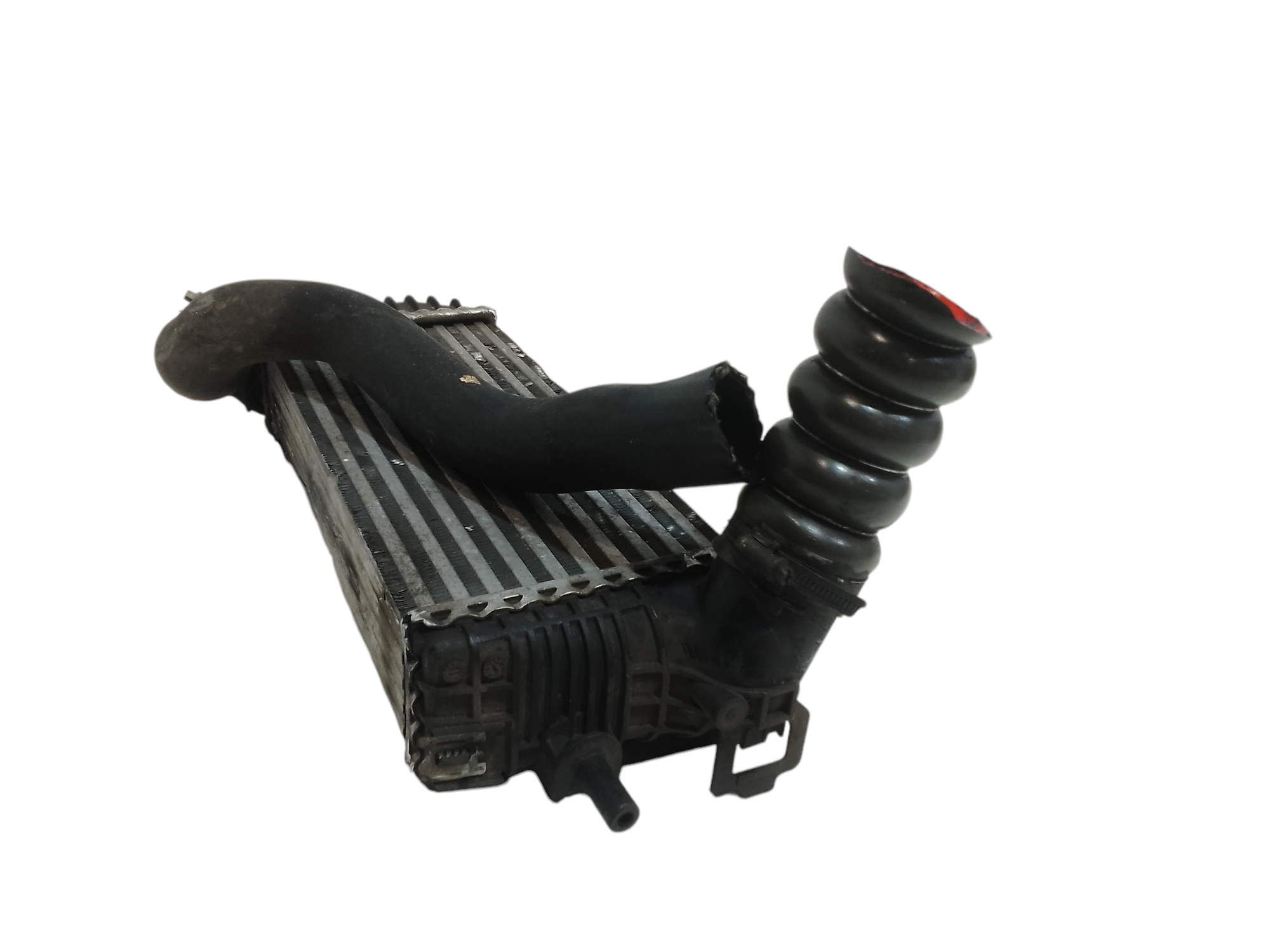 Intercooler per Ford Focus Berlina 3 Serie (2004 - 2008)