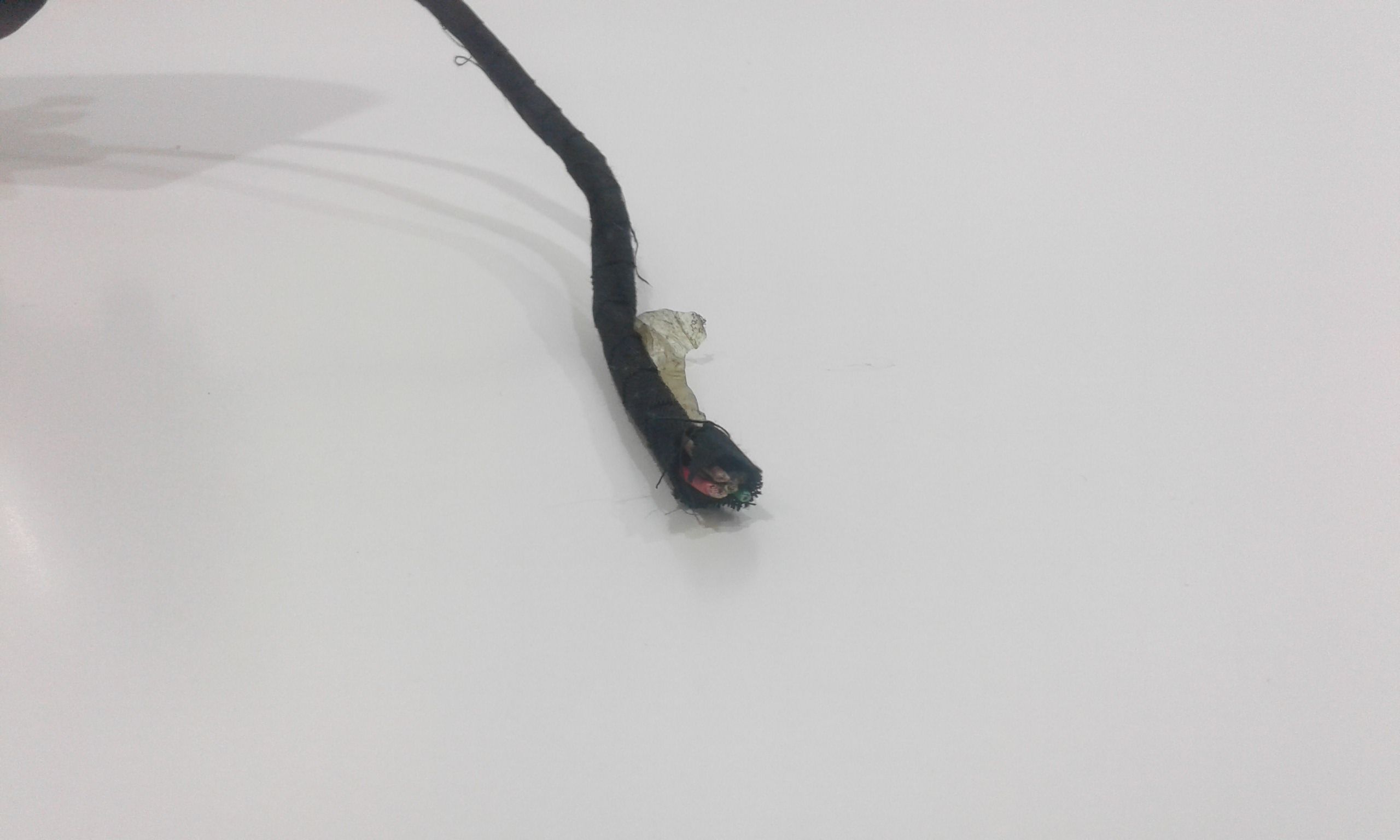 Specchietto Retrovisore Destro CITROEN C4 Berlina