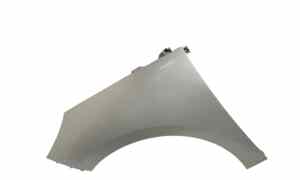 Parafango Anteriore Sinistro per Renault Scenic Serie (09>16) (2009 - 2016)