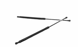 Pistoncini cofano Post. per Nissan X-trail 1 Serie (2001 - 2007)