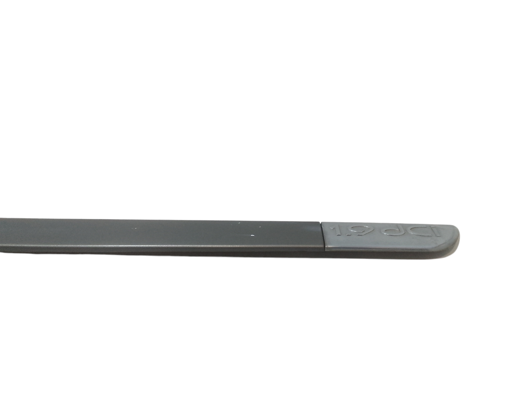 Modanatura porta ant DX passeggero per Renault Scenic Serie (03>09) (2003 - 2009)