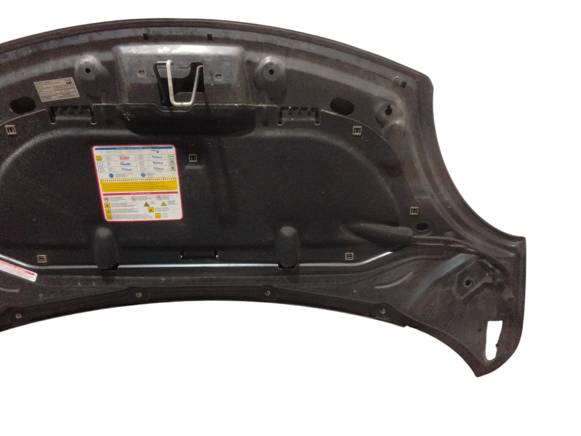 Cofano Anteriore per Fiat 500 L Serie (351_352) (12>) (2012 - In produzione)