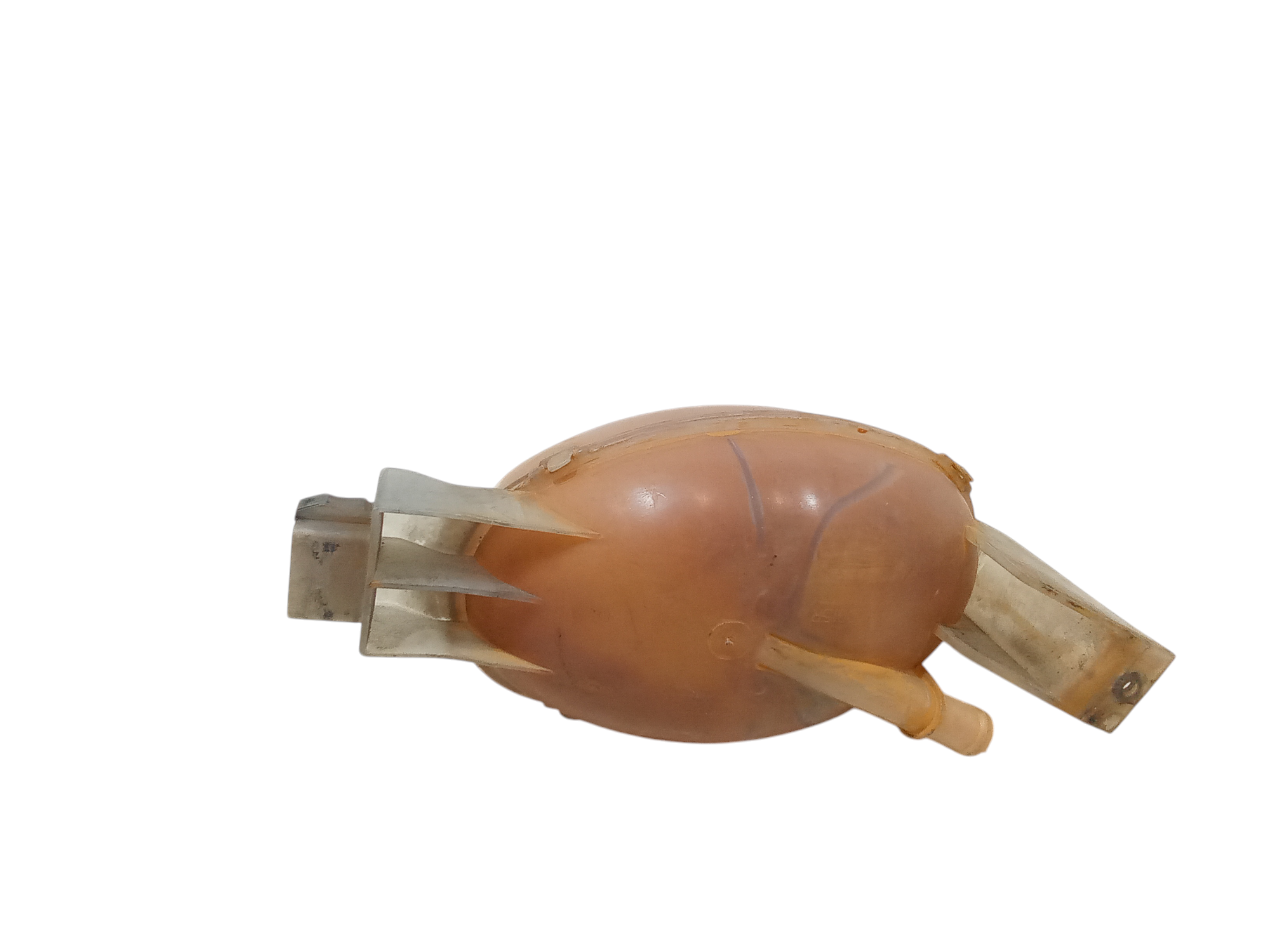 Vaschetta liquido radiatore per Nissan Nv400 (2010 - )