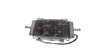 Radiatore acqua per Piaggio Vespa 300cc Gts Sport (08>16) (2008 - 2016)