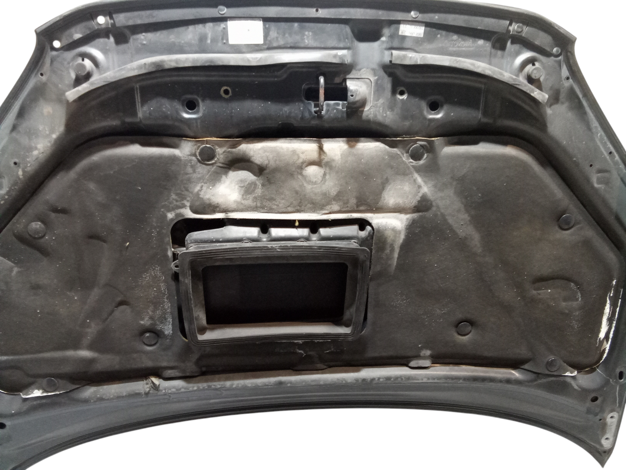 Cofano Anteriore per Toyota Rav4 3 Serie (2003 - 2005)
