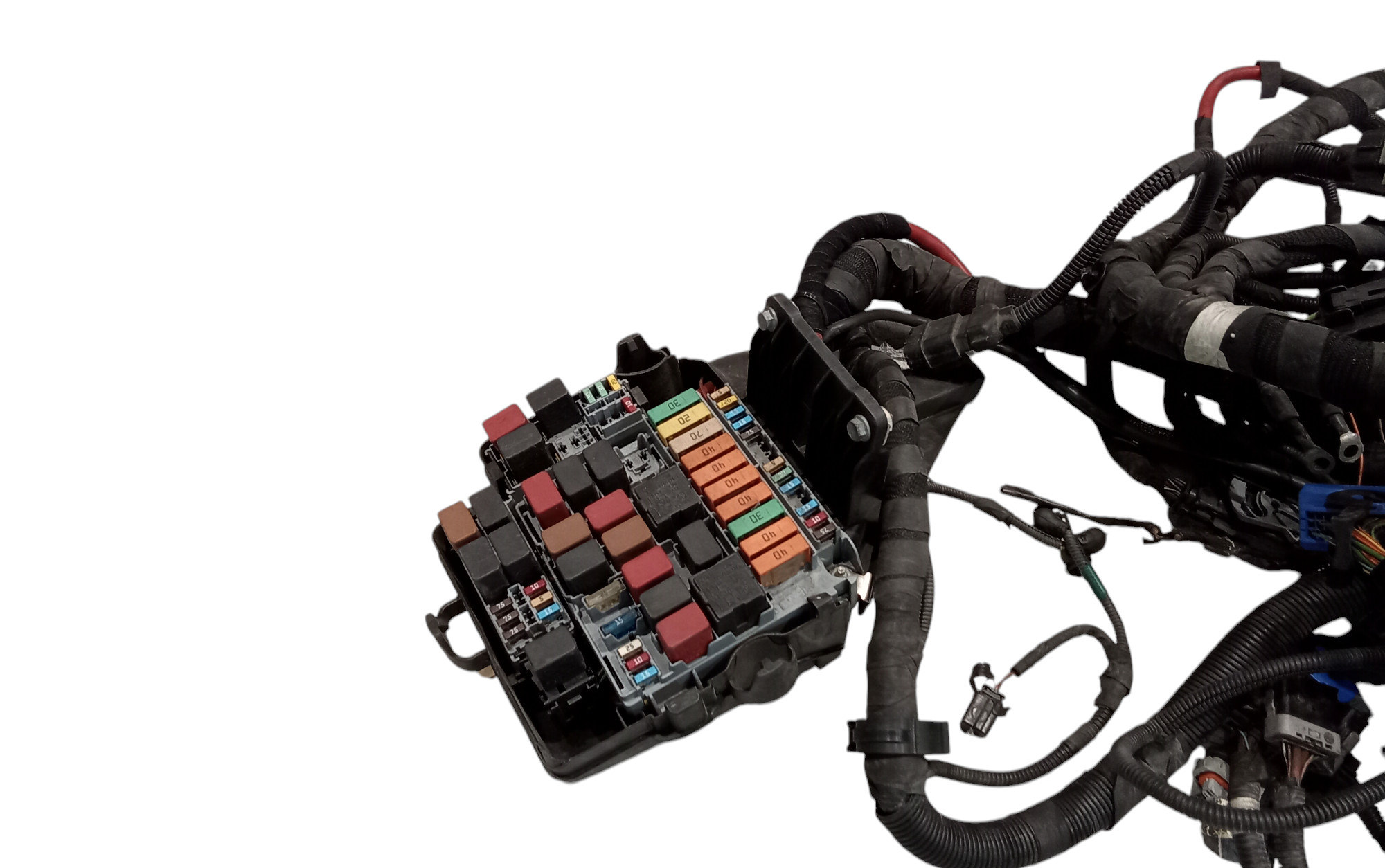 Cablaggio elettrico motore per Iveco Daily 5 Serie (2014 - In produzione)