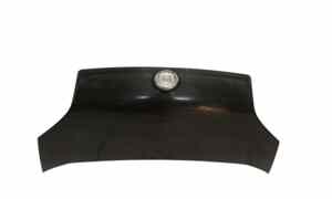 Cofano Anteriore per Fiat Qubo 1 Serie (2008 - In produzione)