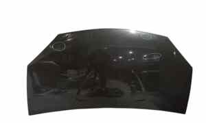 Cofano Anteriore per Dacia Sandero 1 Serie (2008 - 2012)