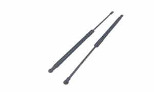 Pistoncini cofano Post. per Smart Forfour 2 Serie (2014 - In produzione)