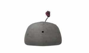 Cover copertura specchietto retrovisore interno per Renault Megane Coup  (10>) (2010 - In produzione)