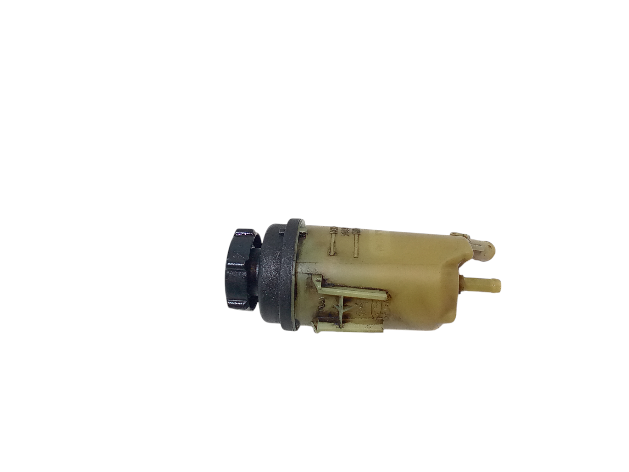 Vaschetta Olio Idroguida per Ford Transit Serie (15>) (2015 - )