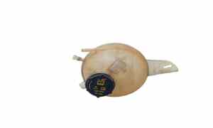 Vaschetta liquido radiatore per Ford Transit Serie (15>) (2015 - )