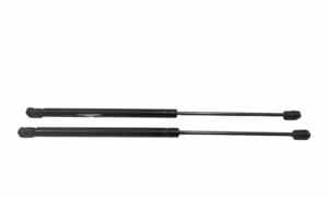 Pistoncini cofano Post. per Citroen C3 1 Serie (2002 - 2005)