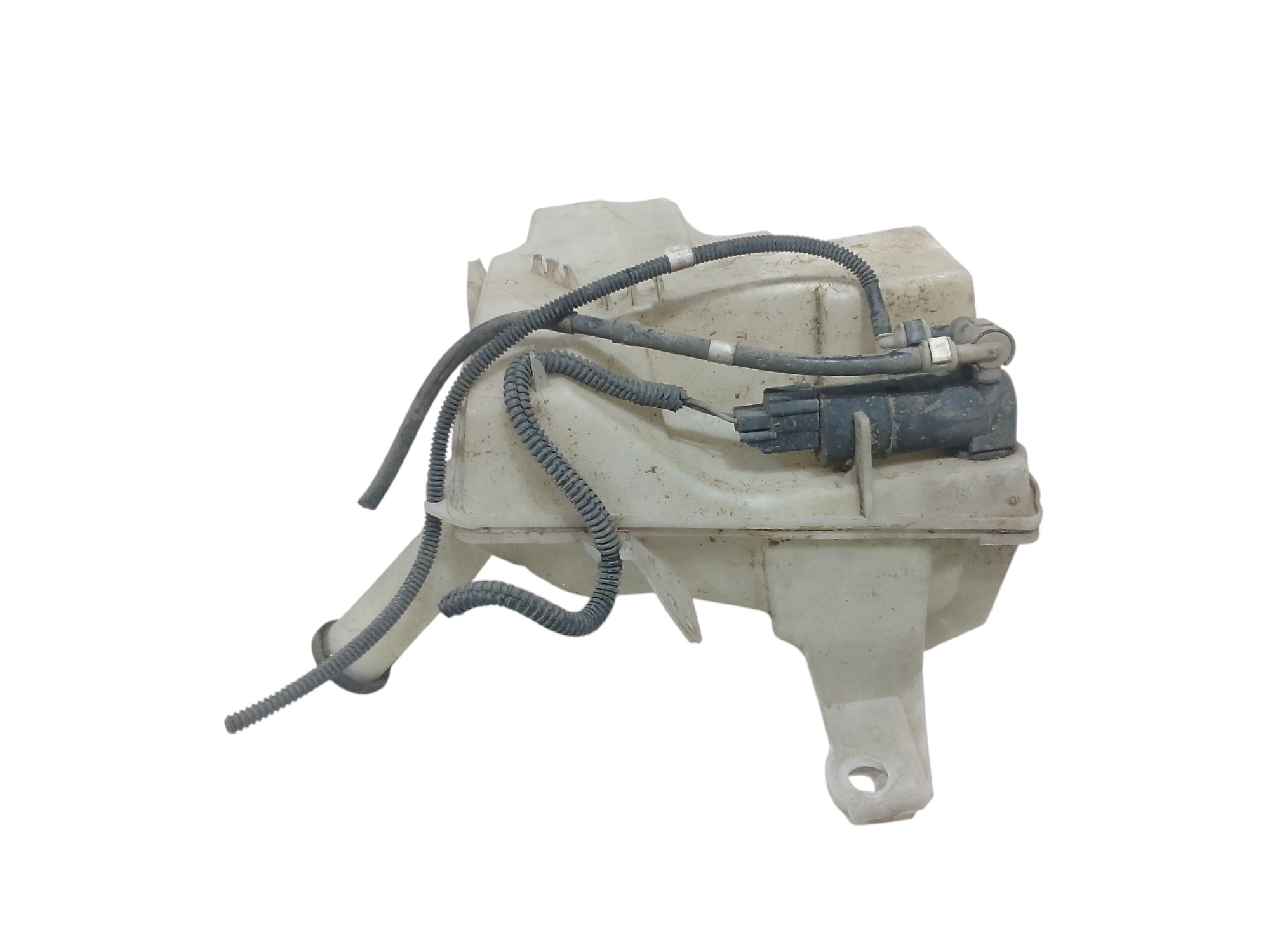 Vaschetta Tergi ant per Ford Focus Berlina 4 Serie (2008 - 2011)