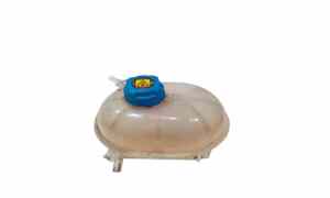 Vaschetta liquido radiatore per Fiat Panda 2 Serie (2003 - 2010)