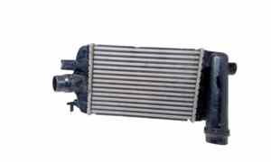 Intercooler per Renault Clio Serie V (19>) (2019 - In produzione)