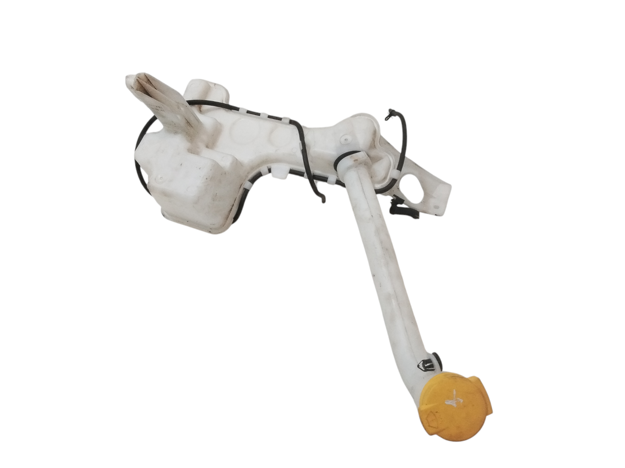 Vaschetta Tergi ant per Renault Clio Serie V (19>) (2019 - In produzione)