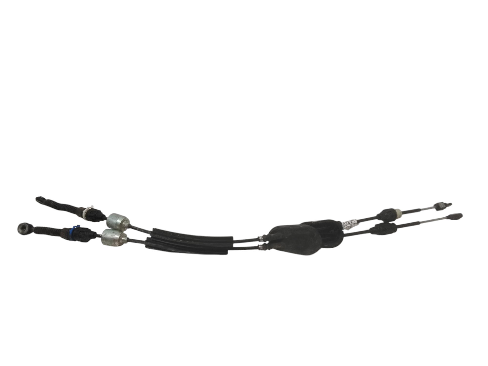 Cavi Marce per Renault Clio Serie V (19>) (2019 - In produzione)