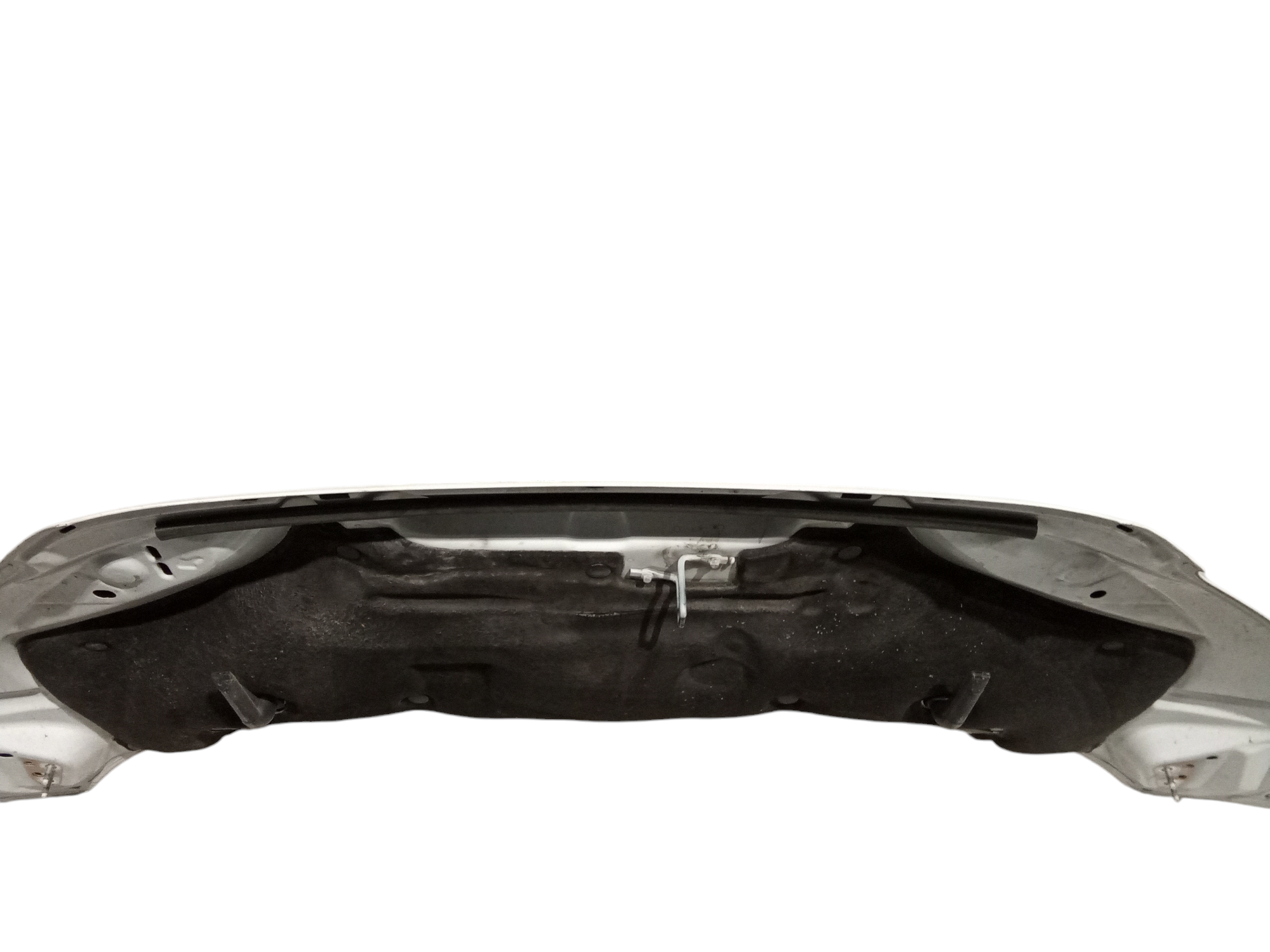 Cofano Anteriore per Ford Transit (2020 - )