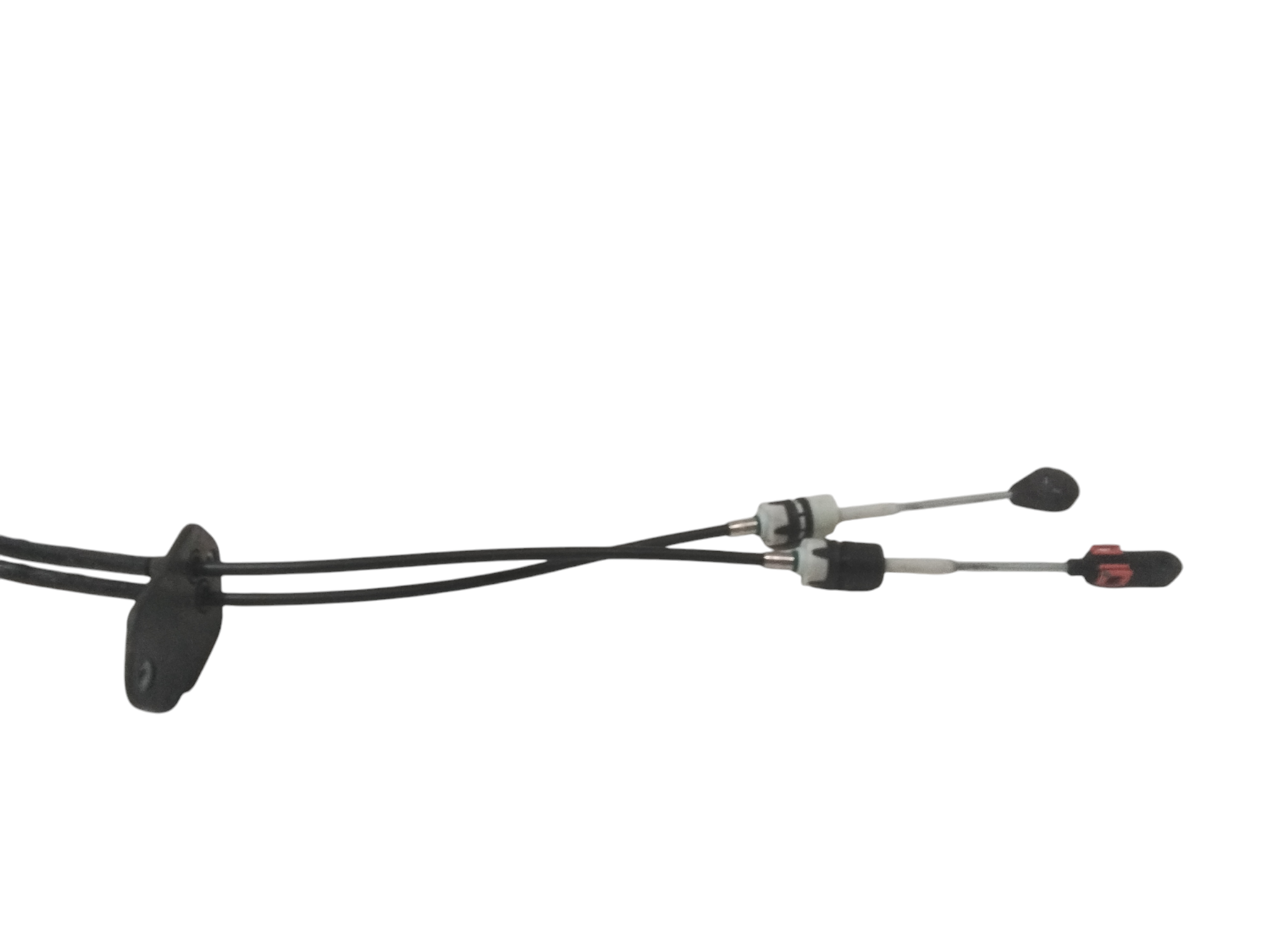 Cavi Marce per Ford Transit (2020 - )