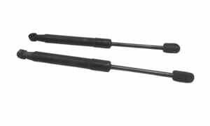 Pistoncini cofano ant per Renault Scenic Serie (09>16) (2009 - 2016)