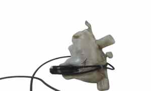 Vaschetta Tergi ant per Citroen C4 Picasso (06>13) Mk1 (2006 - 2013)