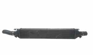 Intercooler per Fiat Dobl Serie (09>) (2009 - In produzione)