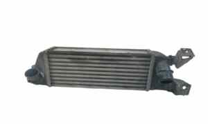 Intercooler per Fiat 500 Serie (07>14) (2007 - 2014)