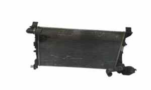 Radiatore acqua per Fiat 500 L Serie (351_352) (12>) (2012 - In produzione)