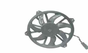 Elettroventola per Peugeot Partner 3 Serie (2008 - In produzione)