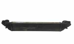 Intercooler per Fiat 500 L Serie (351_352) (12>) (2012 - In produzione)