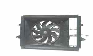 Elettroventola per Peugeot Expert 2 Serie (2004 - 2007)