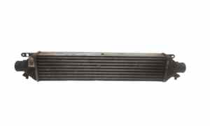 Intercooler per Lancia2 Delta 3 Serie (2008 - 2011)