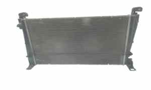 Radiatore acqua per Lancia Delta 3 Serie (2008 - 2011)