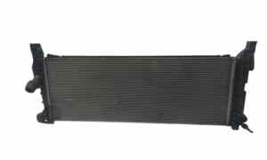 Radiatore acqua per Bmw X1 Serie (f48) (15>) (2015 - In produzione)